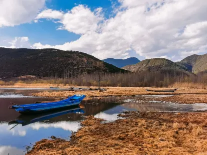 BigWins Casino Mobiilirakendus